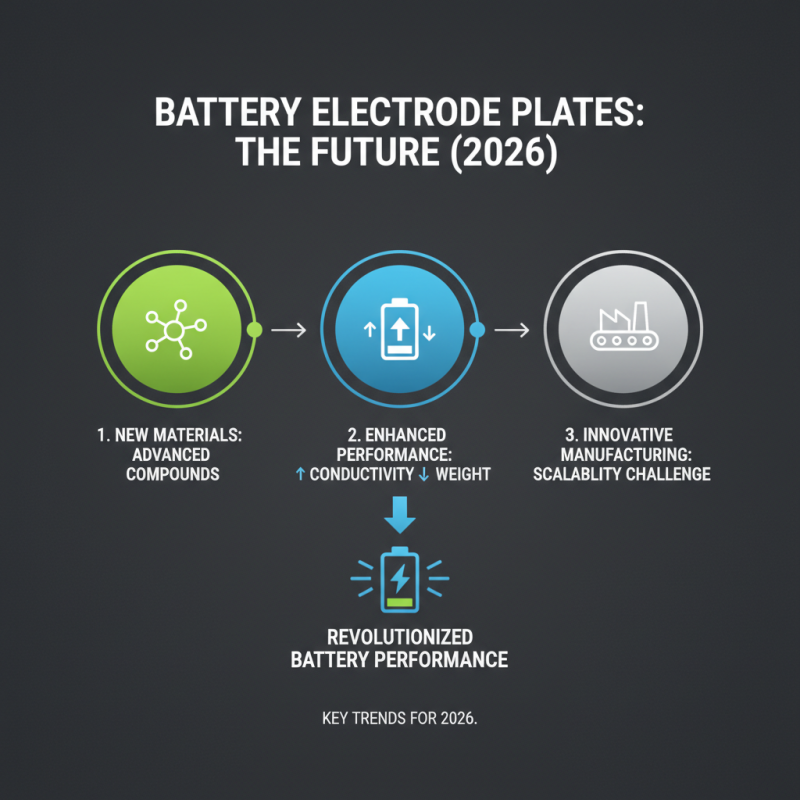 What is the Future of Battery Electrode Plates in 2026?