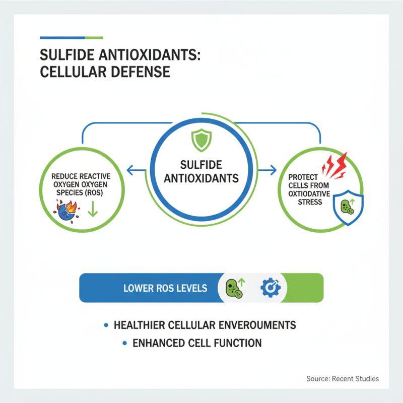 Why Are Sulfide Antioxidants Important for Human Health?