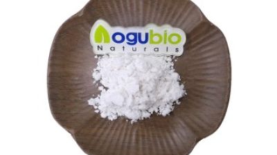 aogubio Deoxyarbutin powder (2).jpg