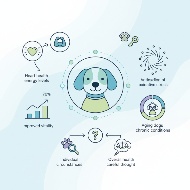 What is ODM OEM Co Q 10 for Dogs Benefits and Uses?