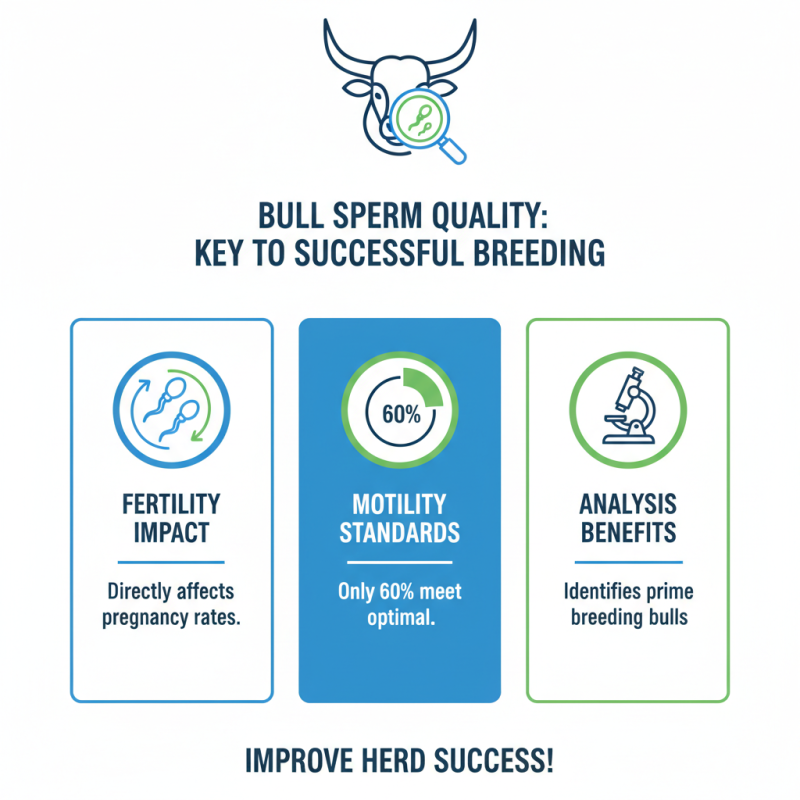 Understanding Bull Sperm Analysis Tips for Effective Breeding?