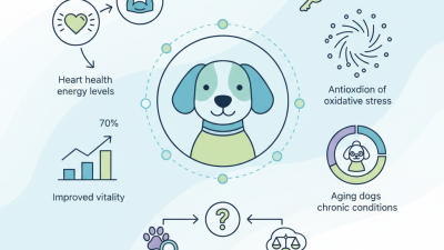 What is ODM OEM Co Q 10 for Dogs Benefits and Uses?