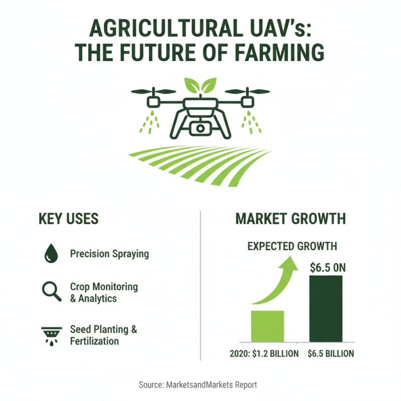 What is Agricultural UAV and How Does it Revolutionize Farming?