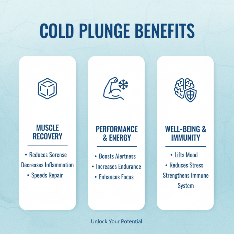 The Best Cold Plunge Ice Barrel Benefits for Recovery?