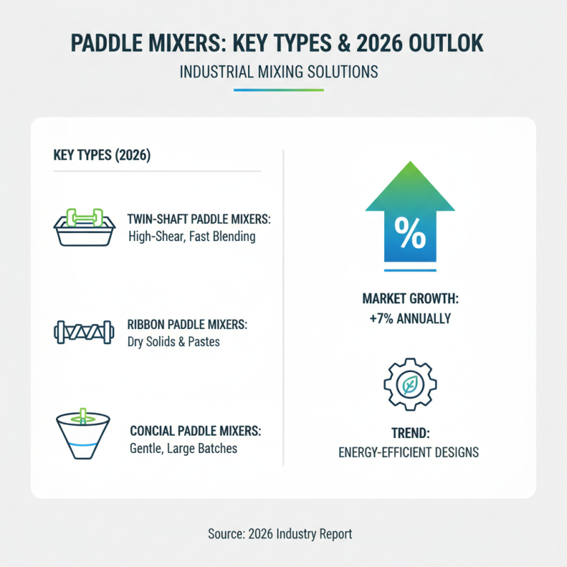 Top Paddle Mixer Types for 2026 What to Look For?