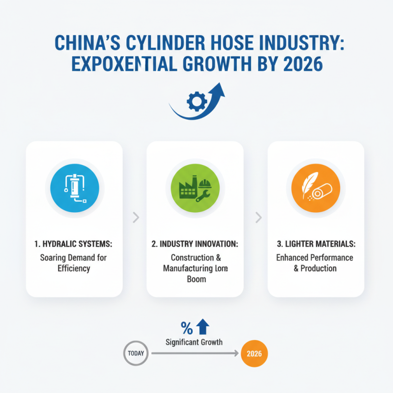 Best China Cylinder Hose Companies in 2026 What Makes Them Stand Out?