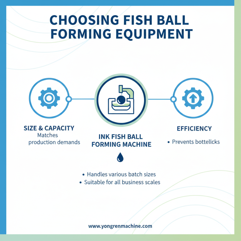 How to Choose the Best Fish Ball Forming Equipment?