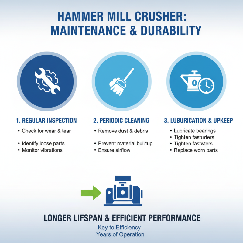 Ultimate Tips for Choosing the Right Hammer Mill Crusher?