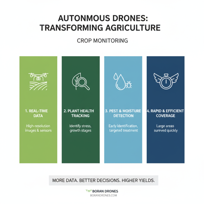 What is the Role of Autonomous Drones in Agriculture?