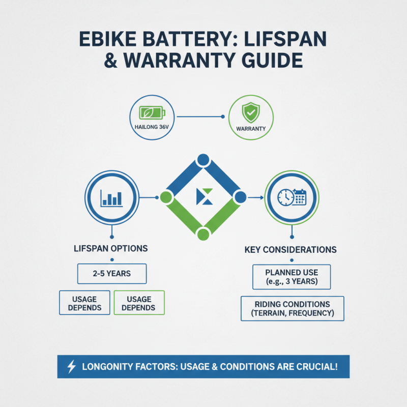 How to Choose the Right Hailong Ebike Battery for Your Needs?