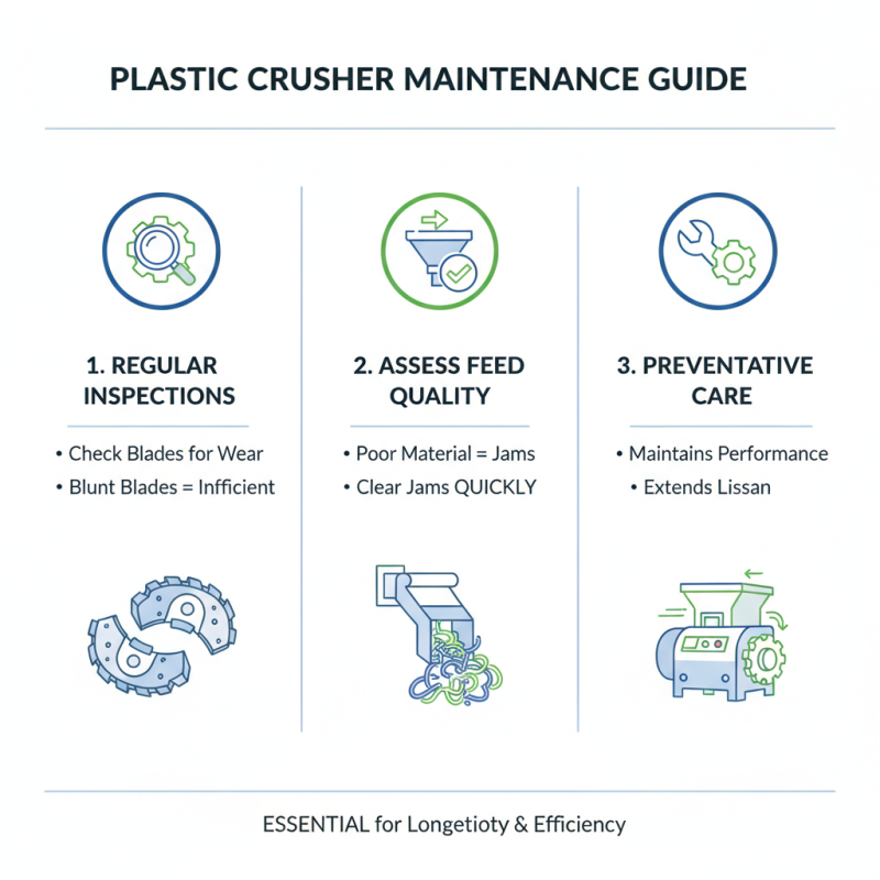 What is a Plastic Crusher and How Does it Work?