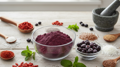 Top 10 High-Quality China Organic Acai Powder Suppliers You Should Know?