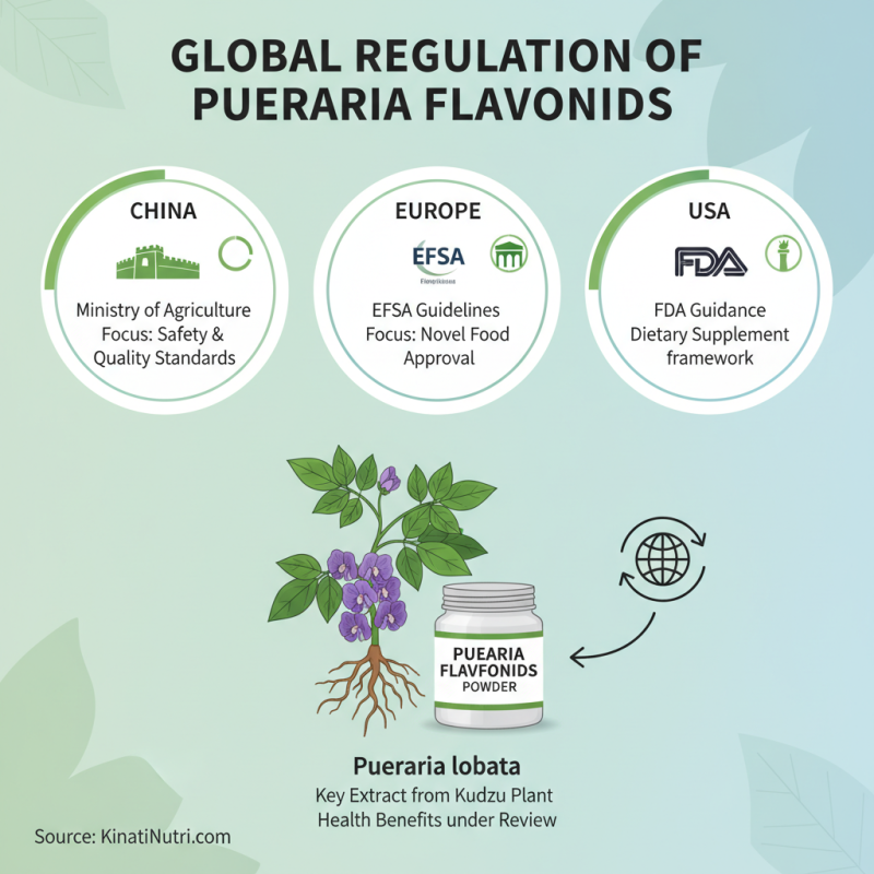 2026 Top China Wholesale Pueraria Lobata Root Extract Quotes You Should Know?