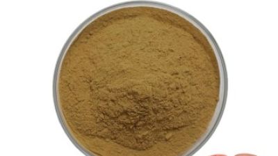 Reishi Mushroom Extract 1_副本.jpg