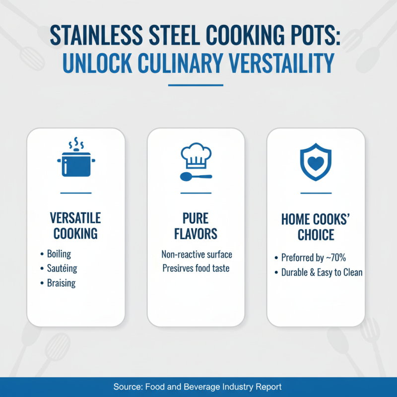 Best Steel Cooking Pots for Every Kitchen Need?