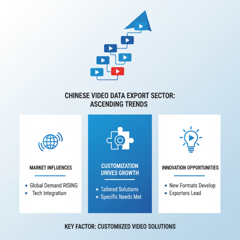 2026 Best China Custom Video Data Management Exporters to Watch Out For?