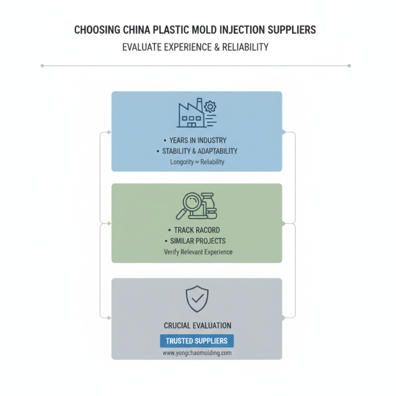 2026 How to Choose Custom China Plastic Mold Injection Suppliers?