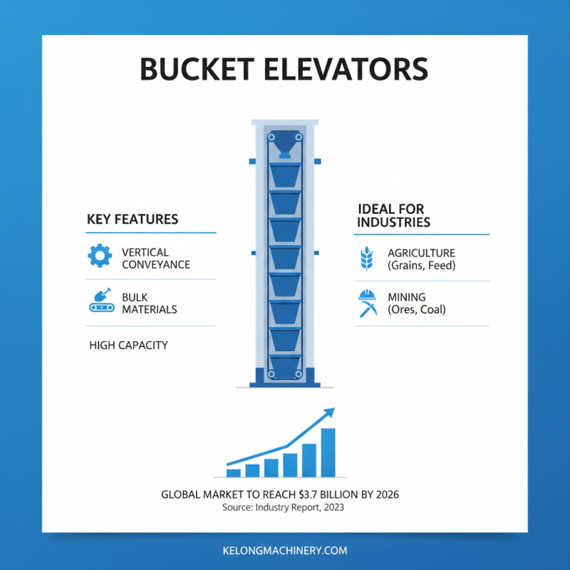 What is a Belt Bucket Elevator and How Does It Work?