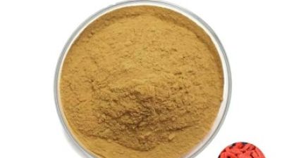 Goji berry 1_副本.jpg