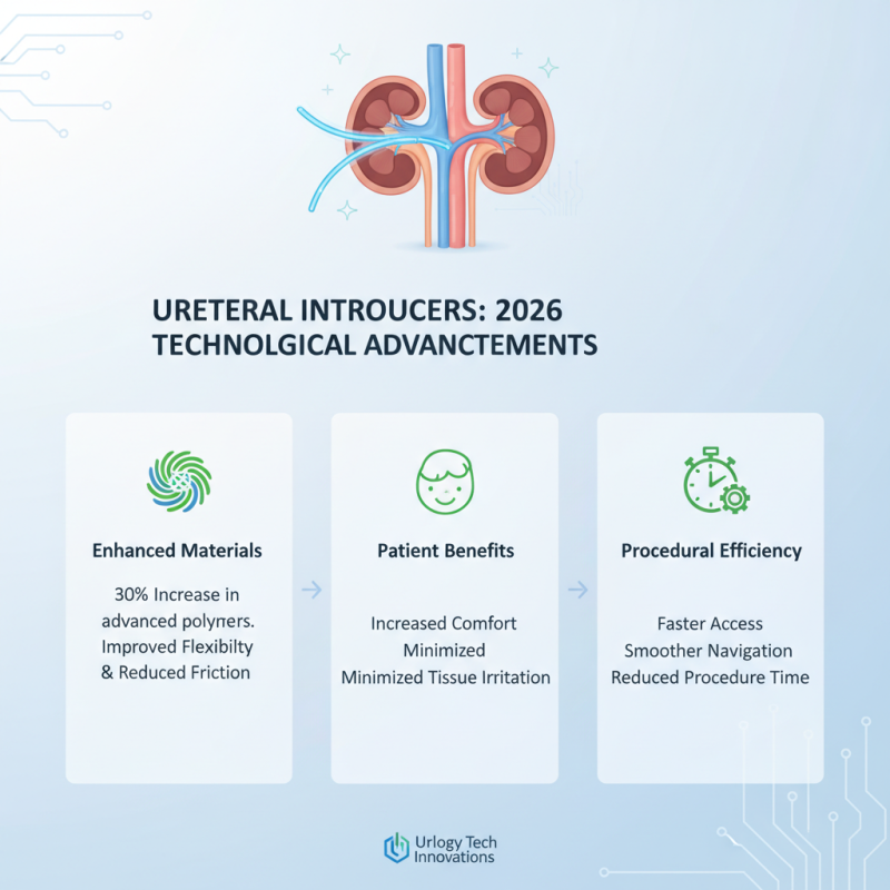 What is a Ureteral Introducer Sheath in 2026?