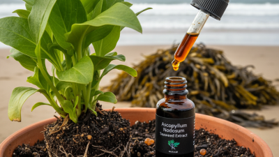 What is Ascophyllum Nodosum and How Does it Benefit Plants?