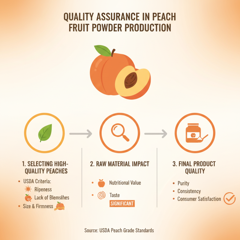 What is High-Quality Best Peach Fruit Powder Service and Its Benefits?