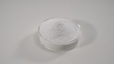 Lacticaseibacillus paracasei G15 Pet Probiotics powder.jpg