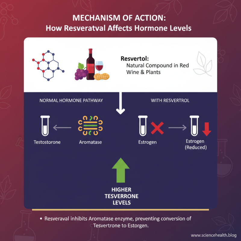Does Resveratrol Boost Testosterone Levels in Men?
