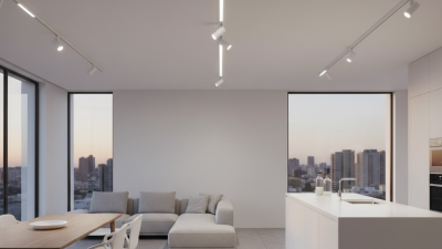 Top Custom Wholesale Magnetic Track Light Options for Your Space?