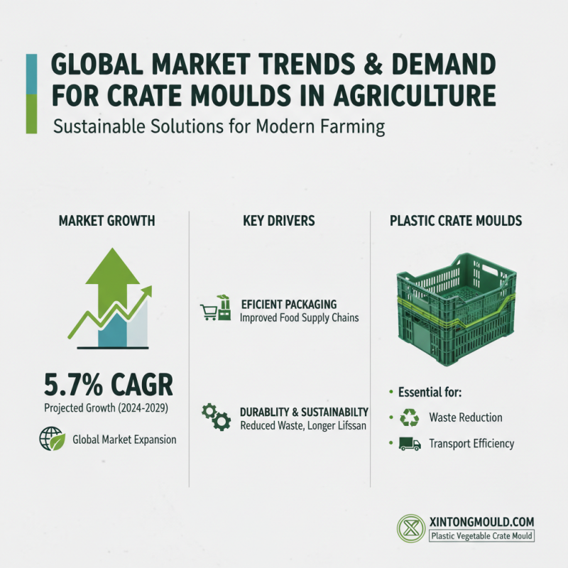 What is Vegetable Fruit Crate Mould and How is it Made?