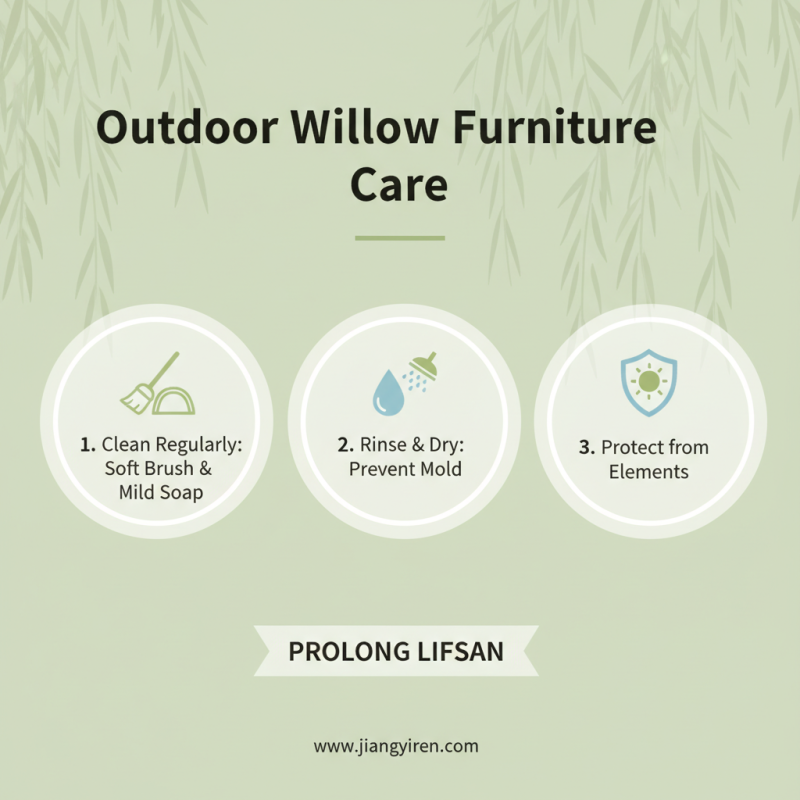 Top 10 Outdoor Willow Furniture Set Benefits You Need to Know?