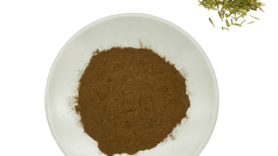 Green Tea Extract.png