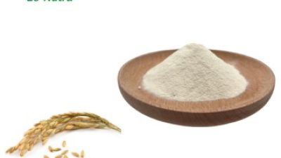 Wheat-Oligopeptide-Powder.jpg