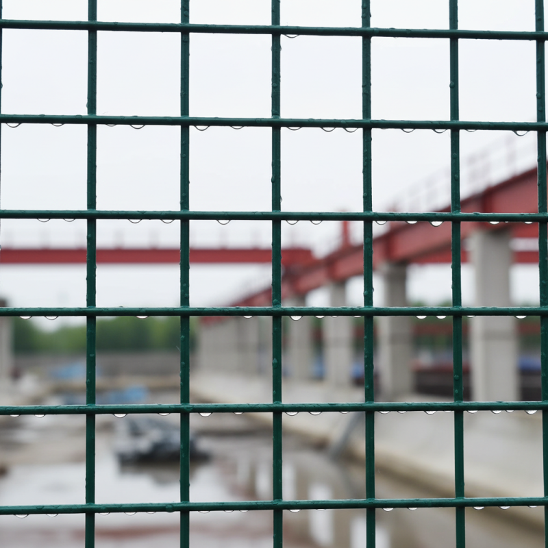 How to Choose the Best Coated Welded Wire for Your Project?
