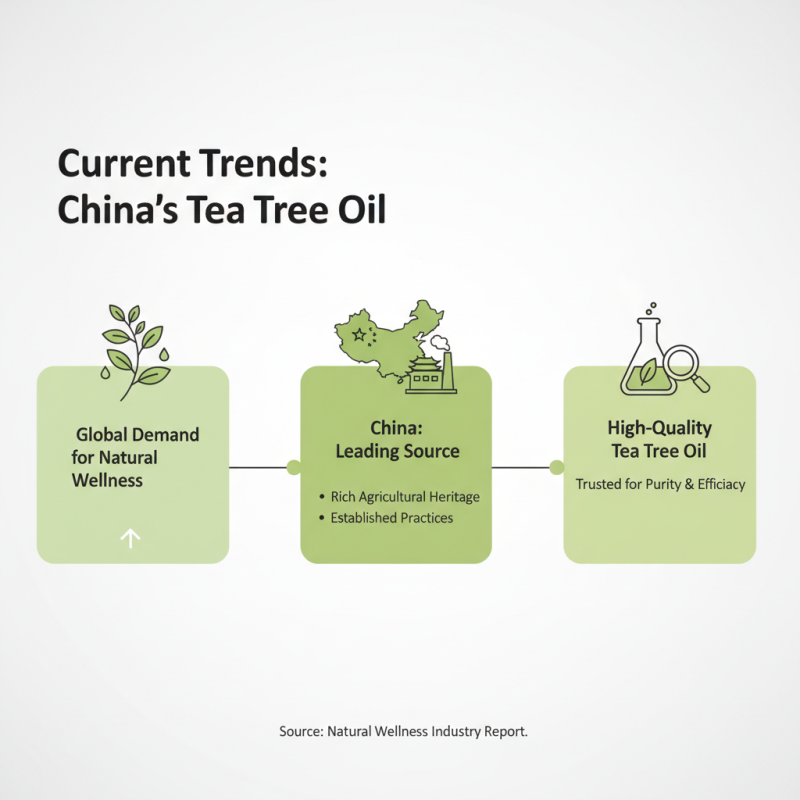 2026 Top Trends in Wholesale China Tea Tree Oil for Natural Wellness?