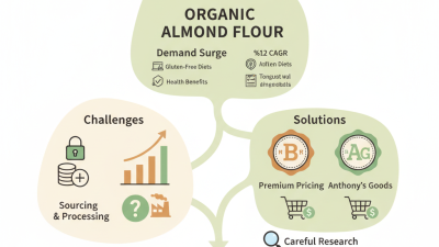 2026 How to Find High Quality Cheap Organic Almond Flour Products?