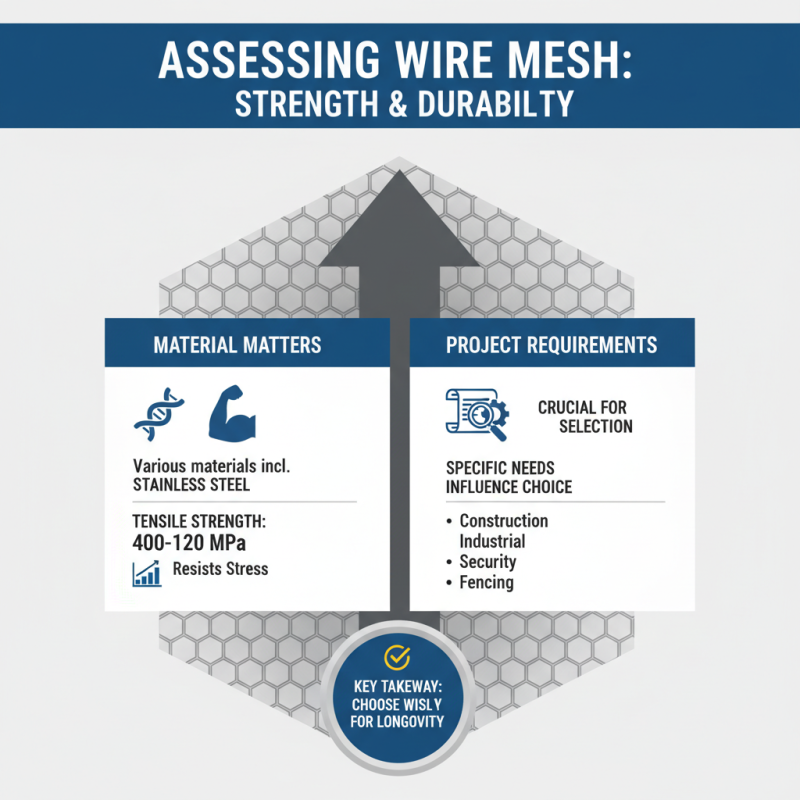 How to Choose the Right Steel Wire Mesh for Your Project?