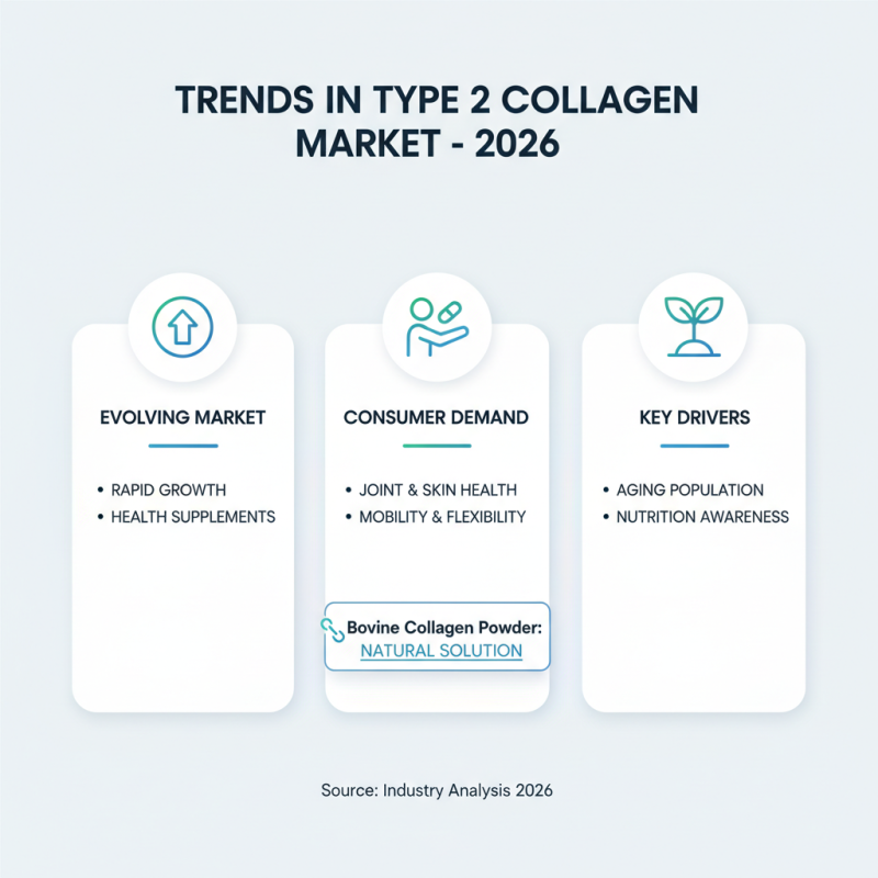2026 Top Wholesale Buy Type 2 Collagen Powder for Optimal Health Benefits?