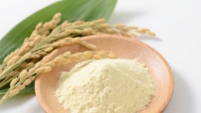oryza sativa rice bran extract 1.jpg