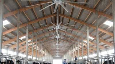 Essential Guide to Choosing the Best Cow Stable Fans?