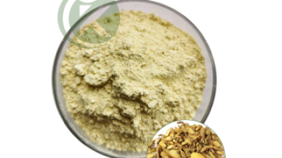 Baicalin powder.png