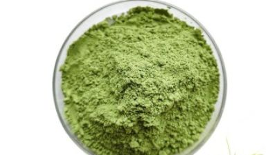 Wheat grass Powder 1.jpg