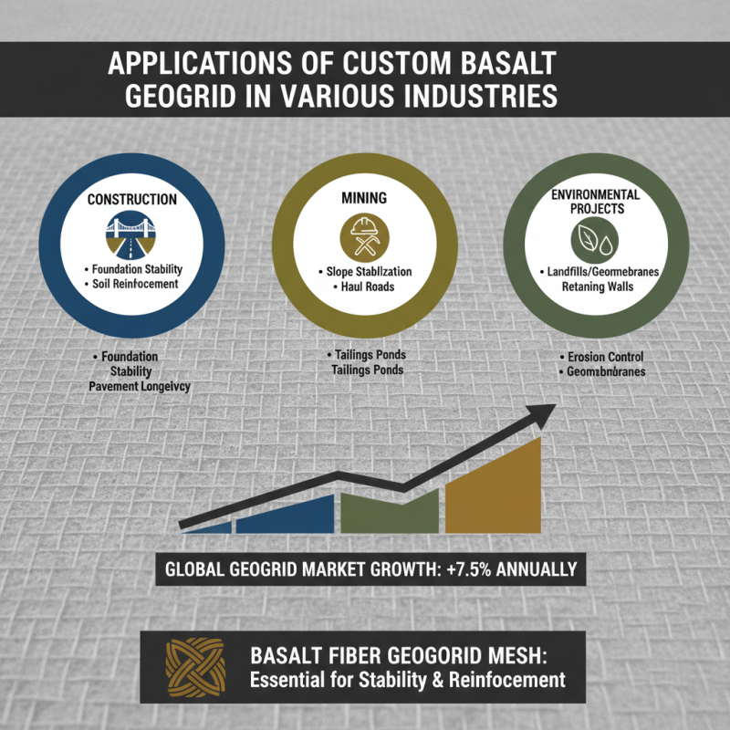 Why Choose Custom China Basalt Geogrid Products for Your Project?