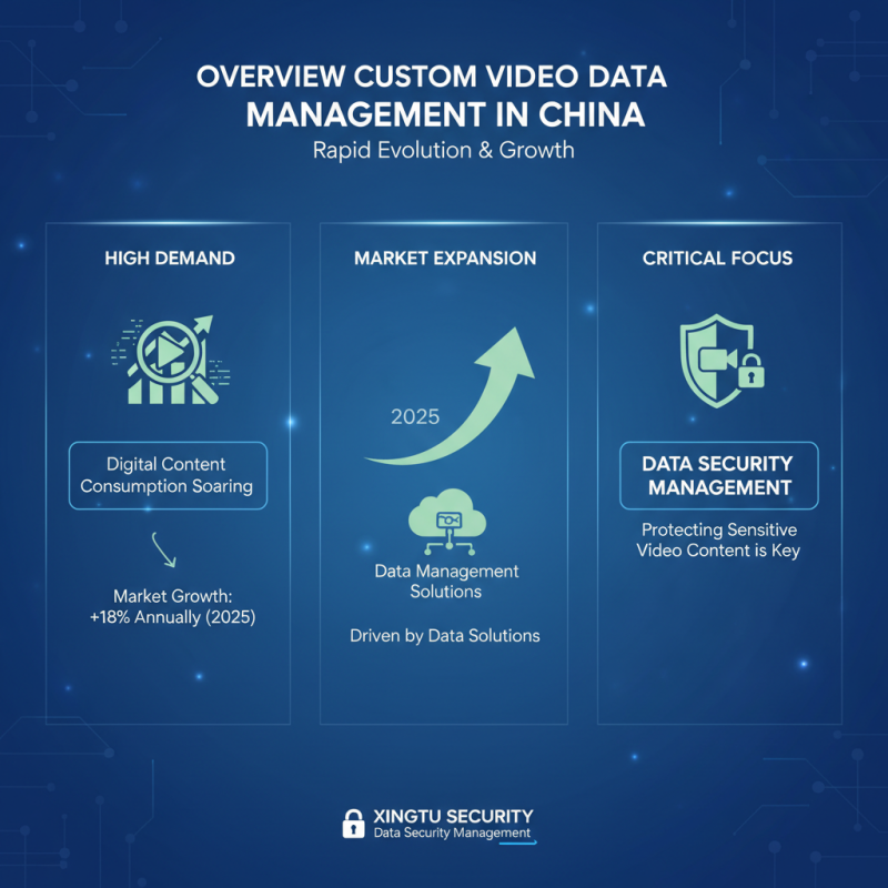 Top 10 China Custom Video Data Management Suppliers You Should Know?