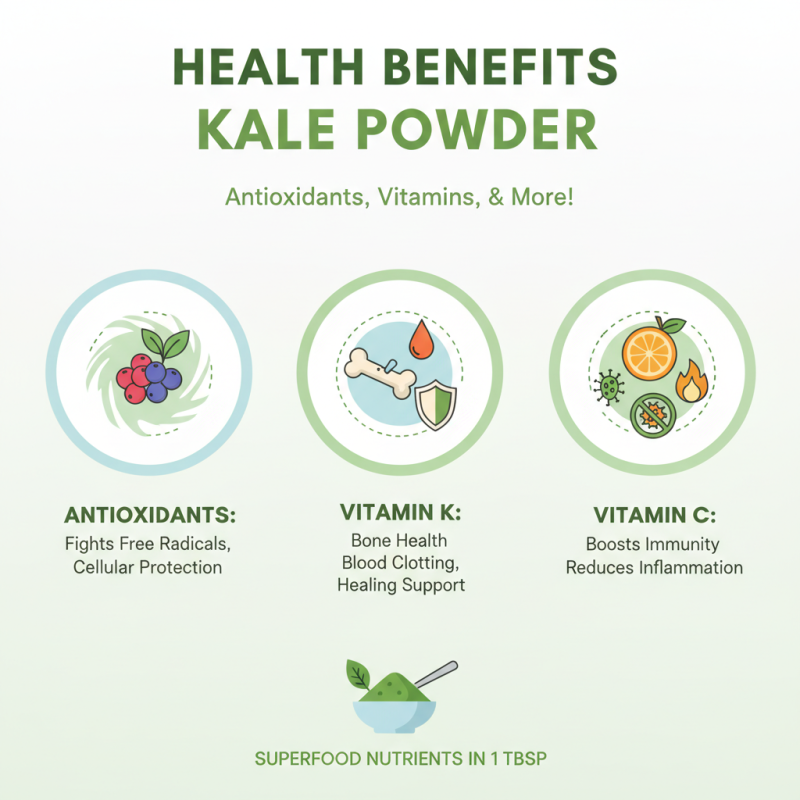 Why Choose Freeze Dried Kale Powder for Your Health Benefits?