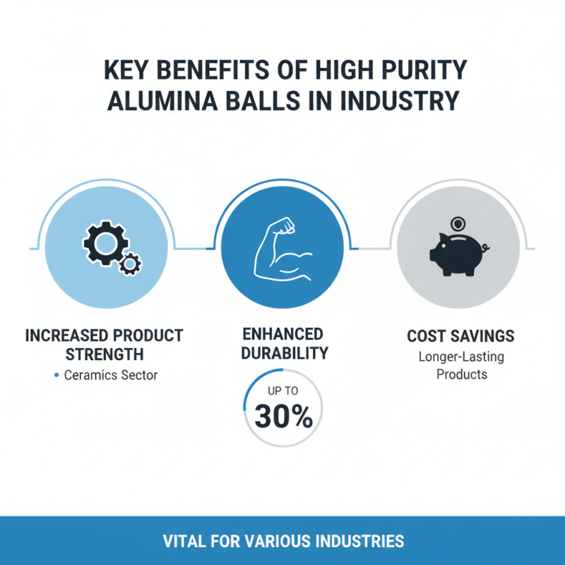 High Purity Alumina Ball Tips for Enhanced Performance?