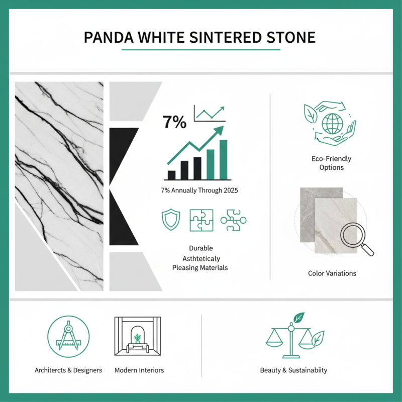 What is Panda White Sintered Stone and Why is it Popular?