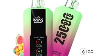 breeze smoke disposable