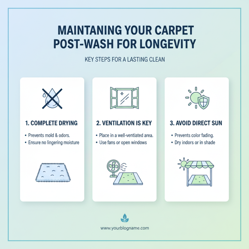 Top 10 Tips for Machine Washing Your Carpets Effectively?