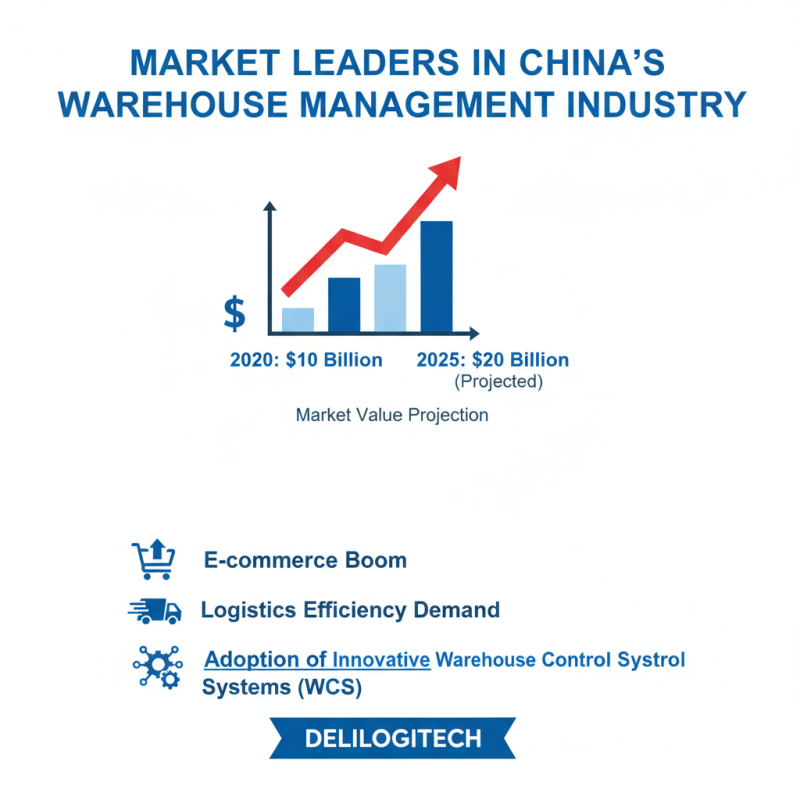 Top Warehouse Systems in China for Optimal Efficiency?